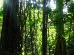 IMG_1159.JPG