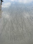 IMG_1169.JPG