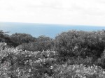 IMG_1188.JPG