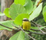 IMG_1190.JPG