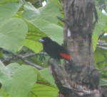 IMG_1205.JPG