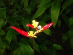 IMG_1223.JPG