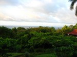 IMG_1226.JPG