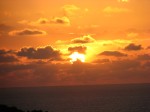 IMG_1237.JPG