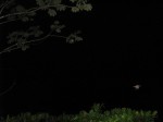 IMG_1287.JPG